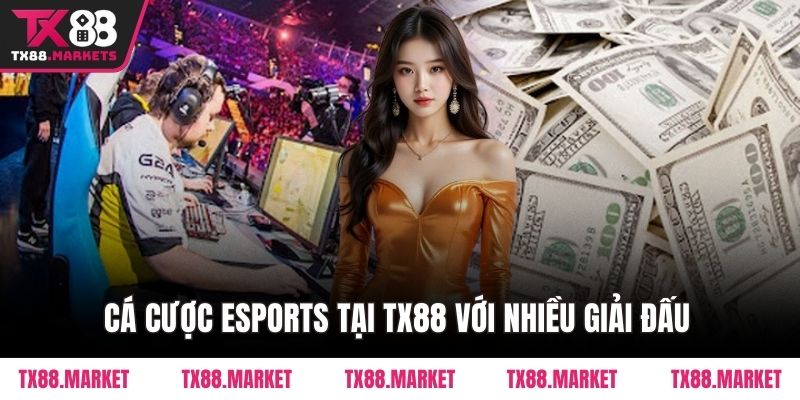 Cá cược eSports tại TX88 với nhiều giải đấu