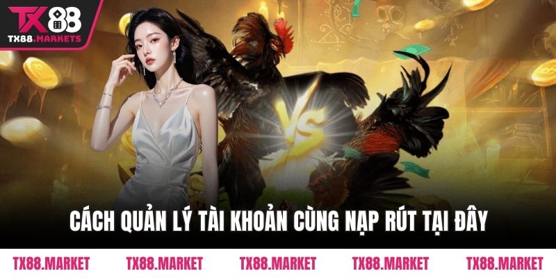 Cách quản lý tài khoản cùng nạp rút tại đây