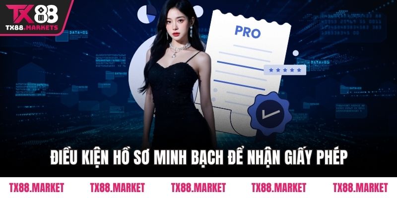 Điều kiện hồ sơ minh bạch để nhận giấy phép