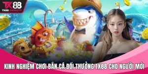 Kinh nghiệm chơi bắn cá đổi thưởng tại TX88