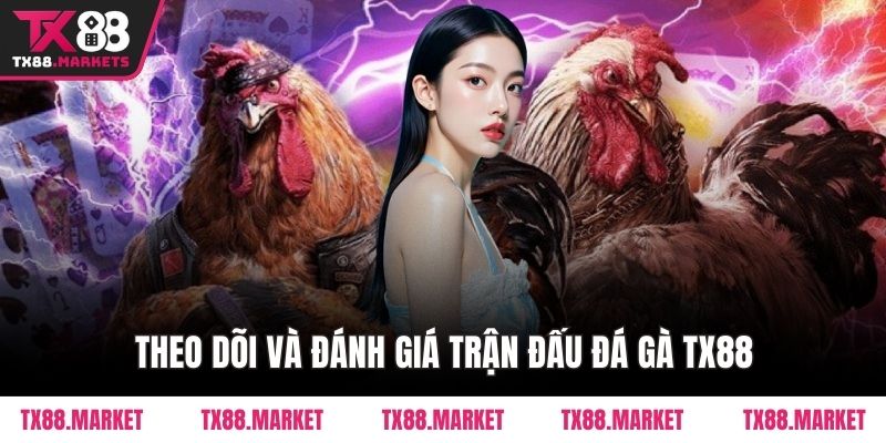 Theo dõi và đánh giá trận đấu Đá Gà TX88